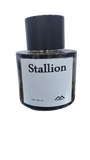 Stallion Eau De Parfum 100ml By Monte Bianco For Men