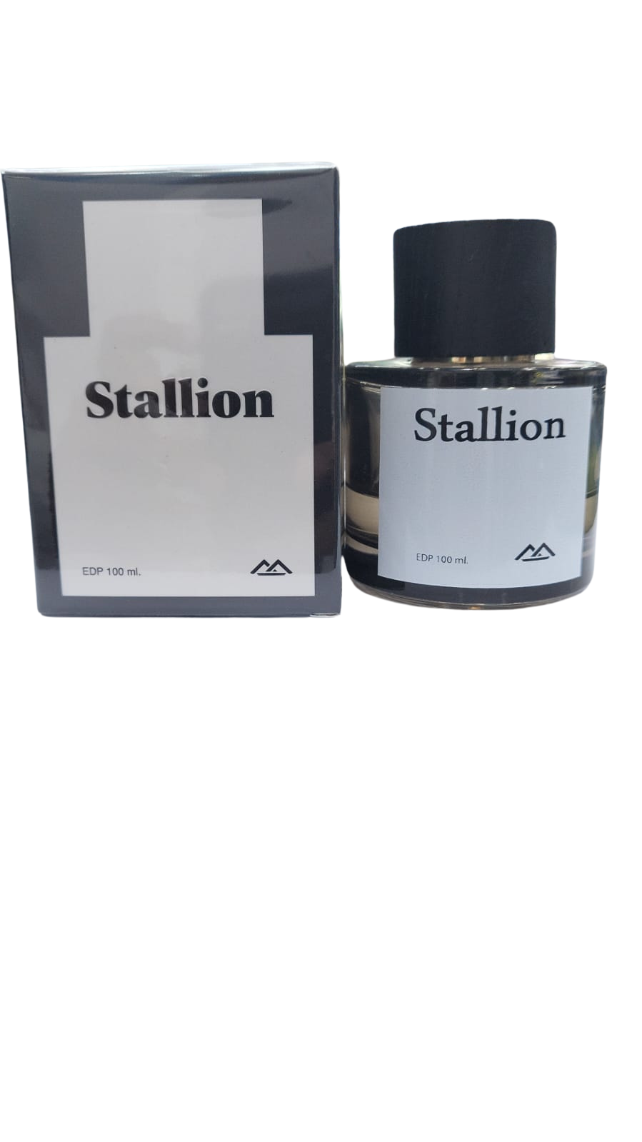 Stallion Eau De Parfum 100ml By Monte Bianco For Men
