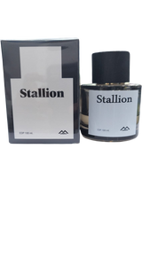 Stallion Eau De Parfum 100ml By Monte Bianco For Men