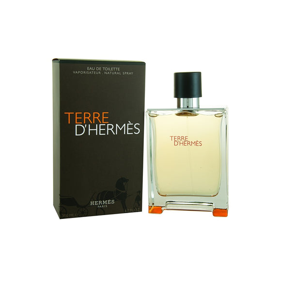Terre D'Hermes by Hermes EDT 100ml (Men)